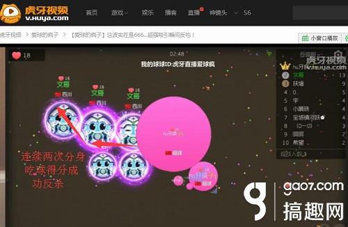 球球大作战个人实力体现虎牙直播疯子怒肝生存